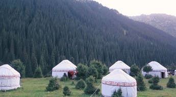 Yourtes en lisière d'une forêt de pins au Kirghizistan