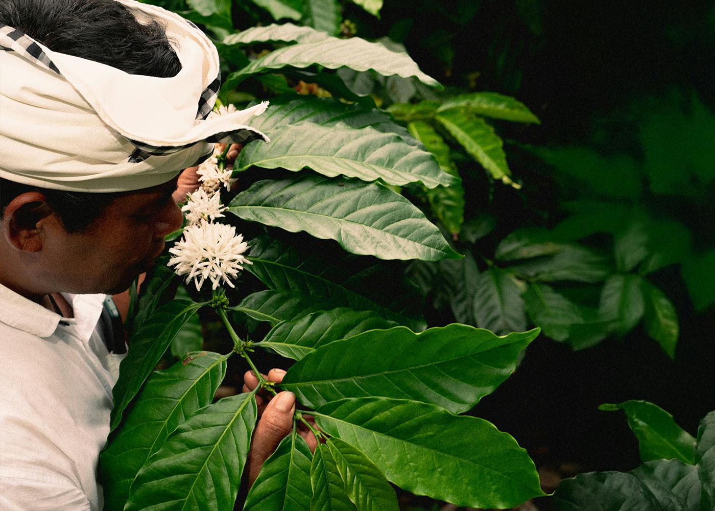 man with leaves