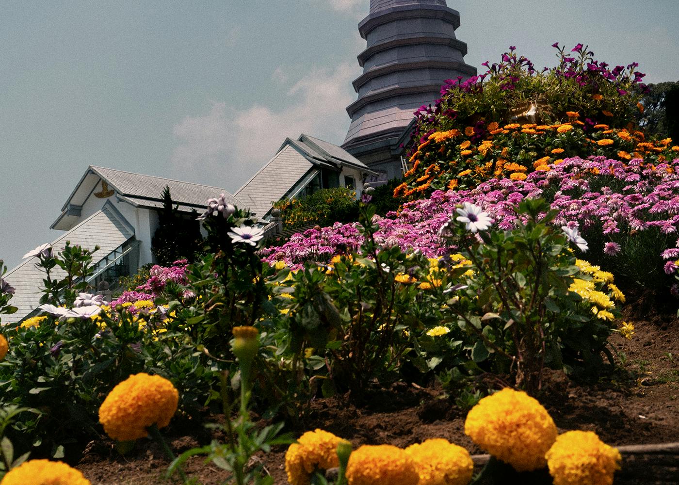 monument with flowers