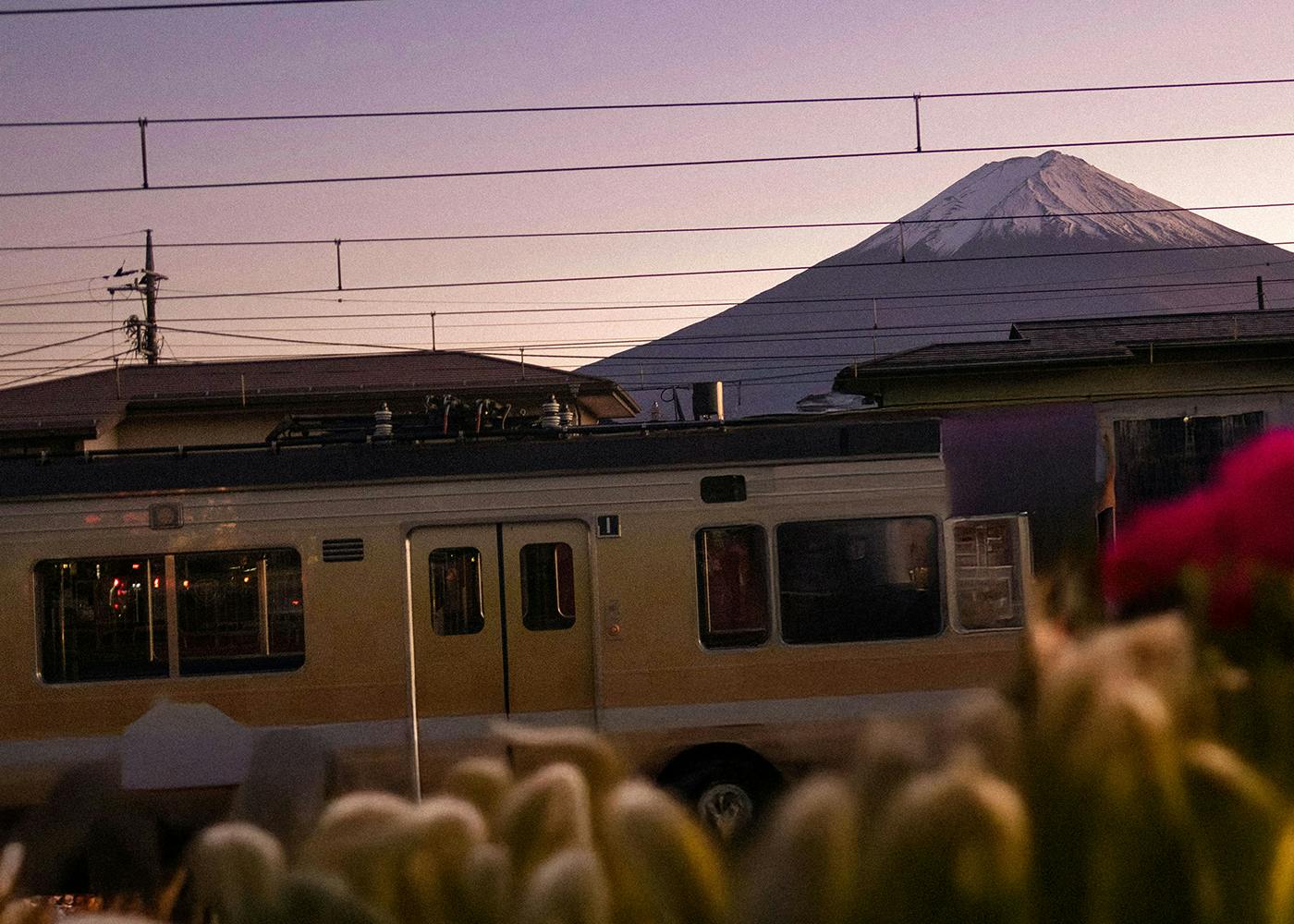 train avec montagne sur le fond