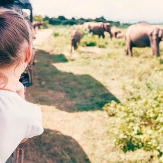 safari éléphants sri lanka en famille