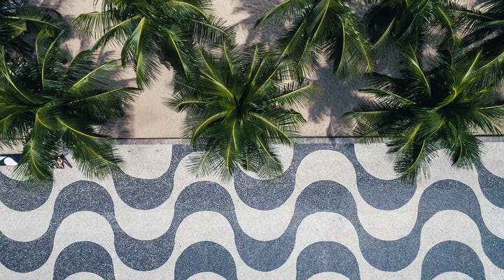 Palmiers et promenade du front de mer à Copacabana