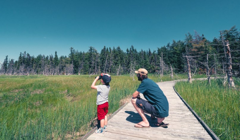 Consejos viaje familia