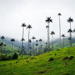 Een betoverend mooi hotel