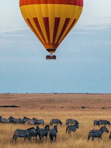 Montgolfière survolant un troupeau de zèbres dans le Masai Mara au Kenya