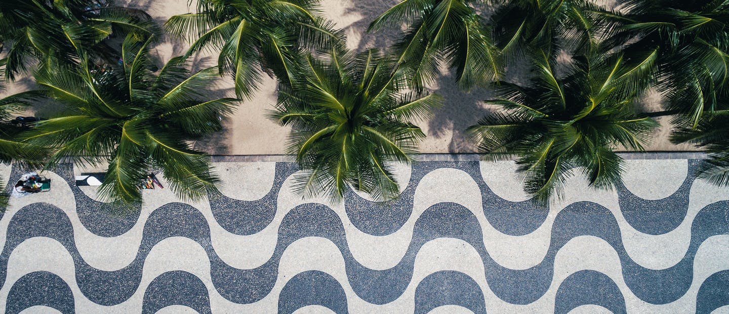 Palmiers et promenade du front de mer à Copacabana