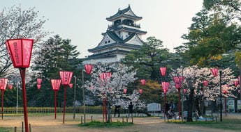 Cerisiers en fleurs et lanternes roses dans les jardins d'un château japonais