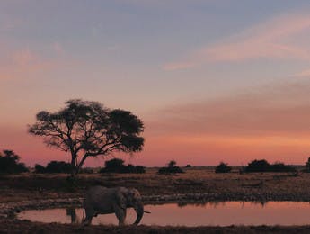 Atardecer en el parque nacional de Etosha en Namibia