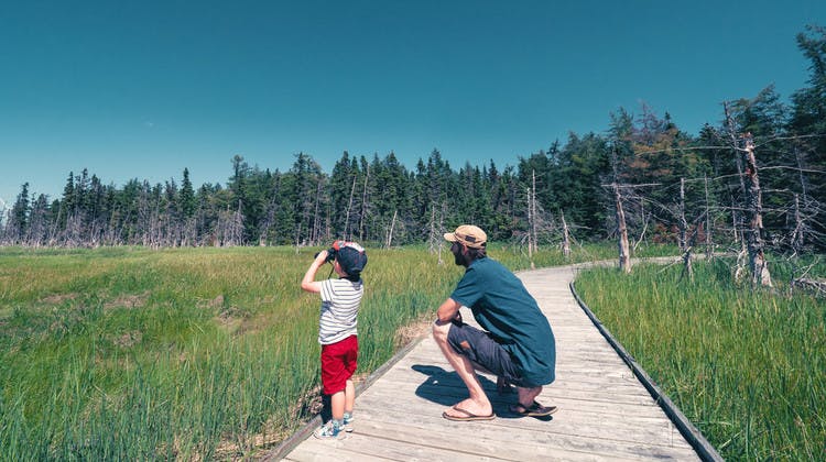 Disfruta la naturaleza con tus hijos