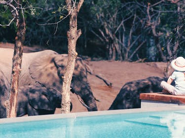 Family safari in Africa