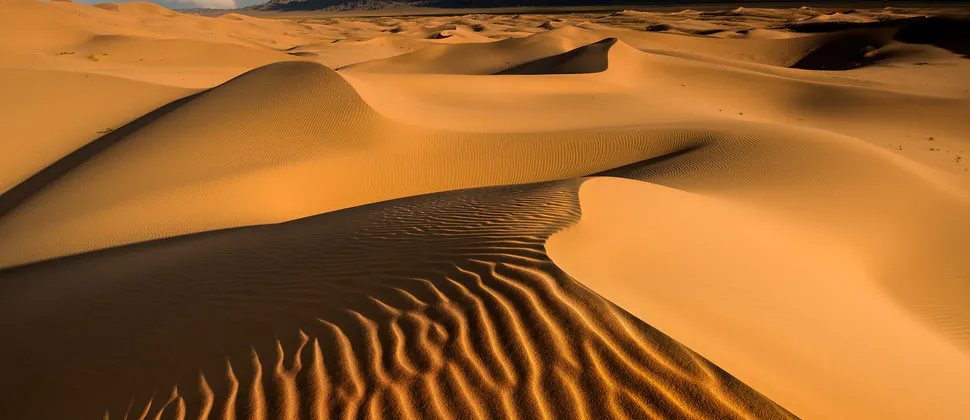 Gobi