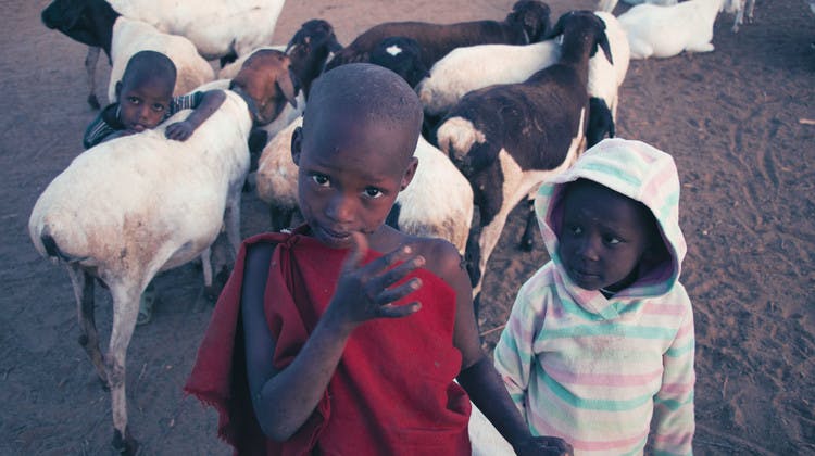 Rencontre Massais Tanzanie
