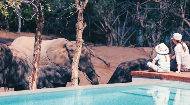 Family safari in Africa
