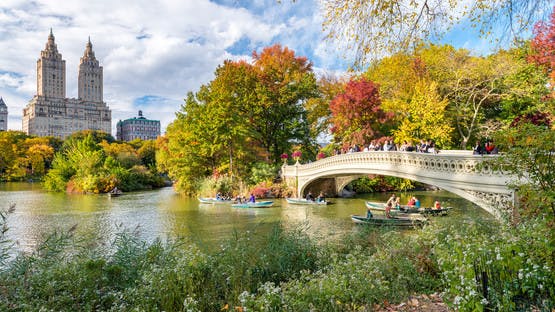 Central Park New York