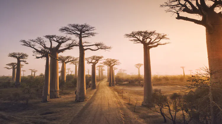 Madagaskar
