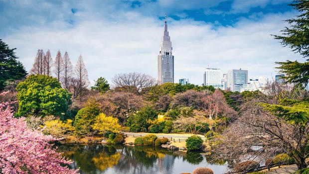 Parc de Shinjuku à Tokyo