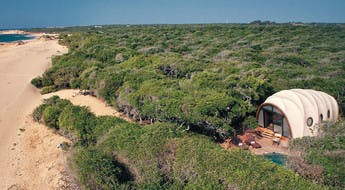 Une tente avec piscine privée dans la verdure en bord de plage