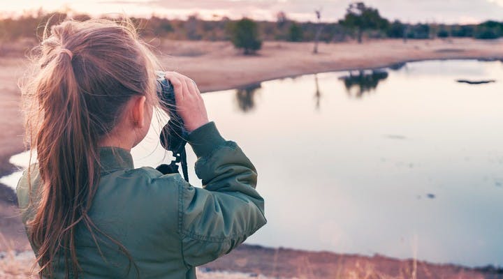 Où partir pour aller observer les animaux sauvages avec des enfants