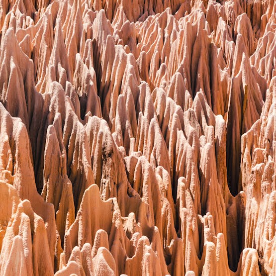 Les tsingy d'Ankarana à Madagascar