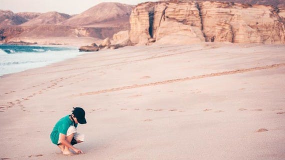 Sur les traces des tortues marines d'Oman.