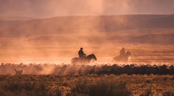 Gaucho in Patagonien