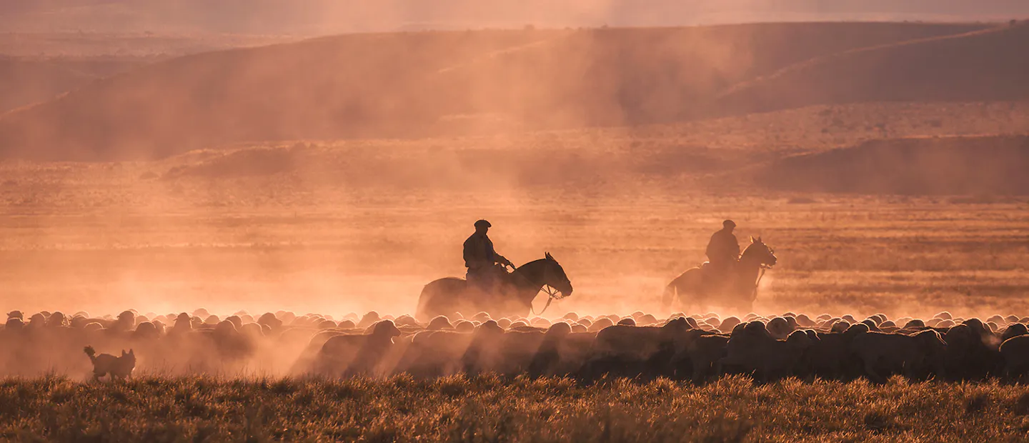 Gaucho in Patagonien