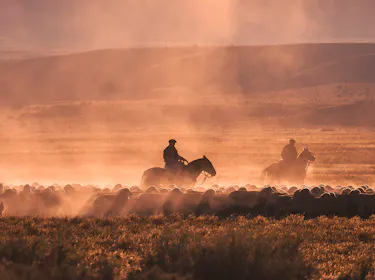 Gaucho in Patagonien