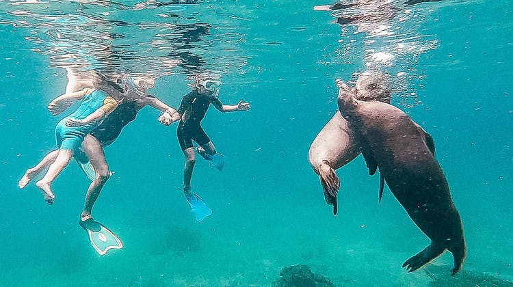 Snorkeling