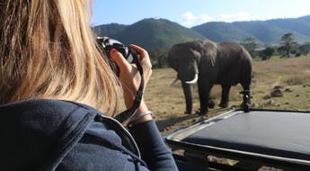 Femme photographiant un éléphant au cours d'un safari