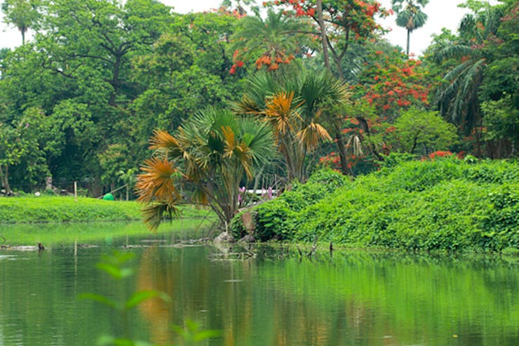 Botanical Garden