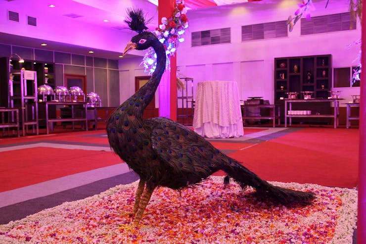 stunning pre wedding decoration ideas