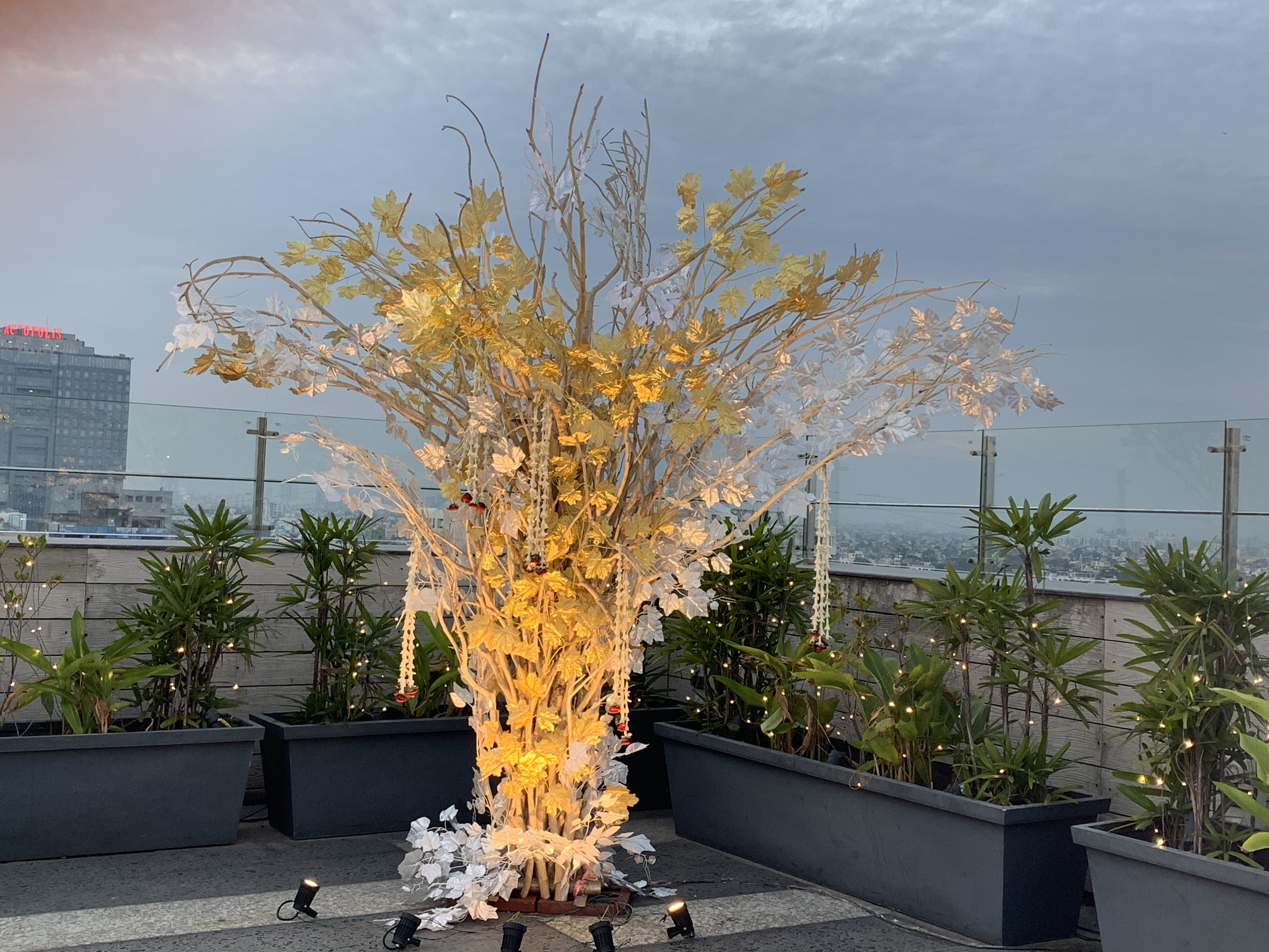 wedding function decoration 