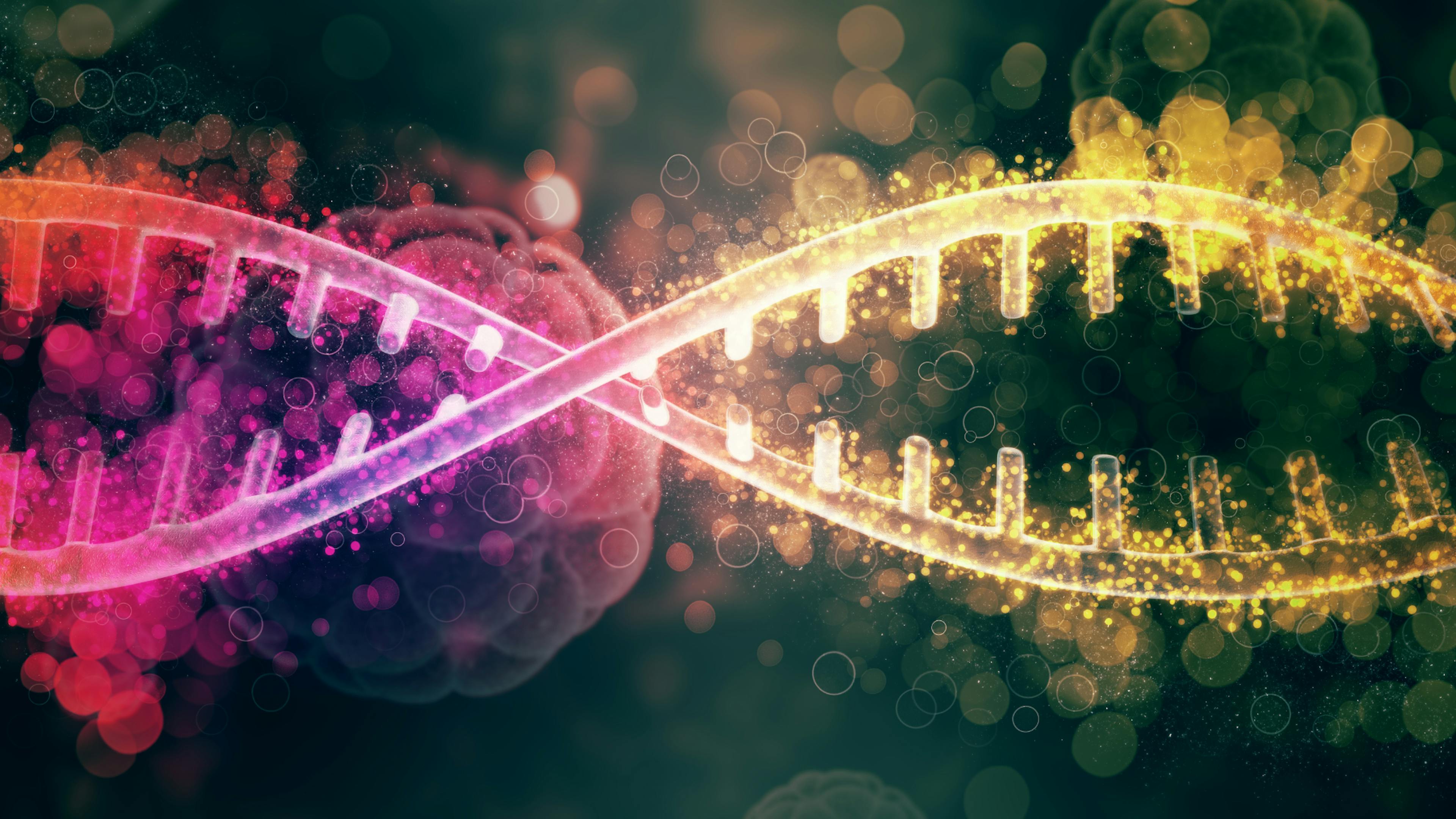 A picture sample of a DNA