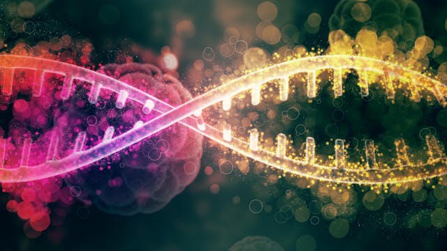 A picture sample of a DNA