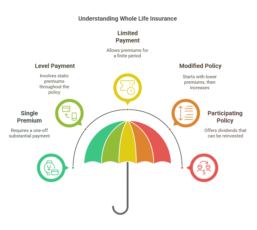 Whole life insurance types & coverage chart