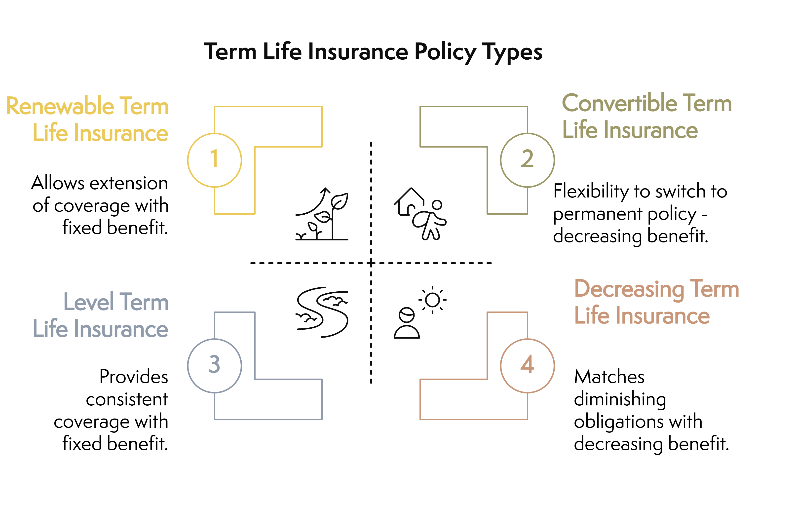 Types of Term Life Insurance Chart Image