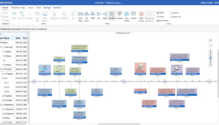 A view of the new MindView Online Timeline