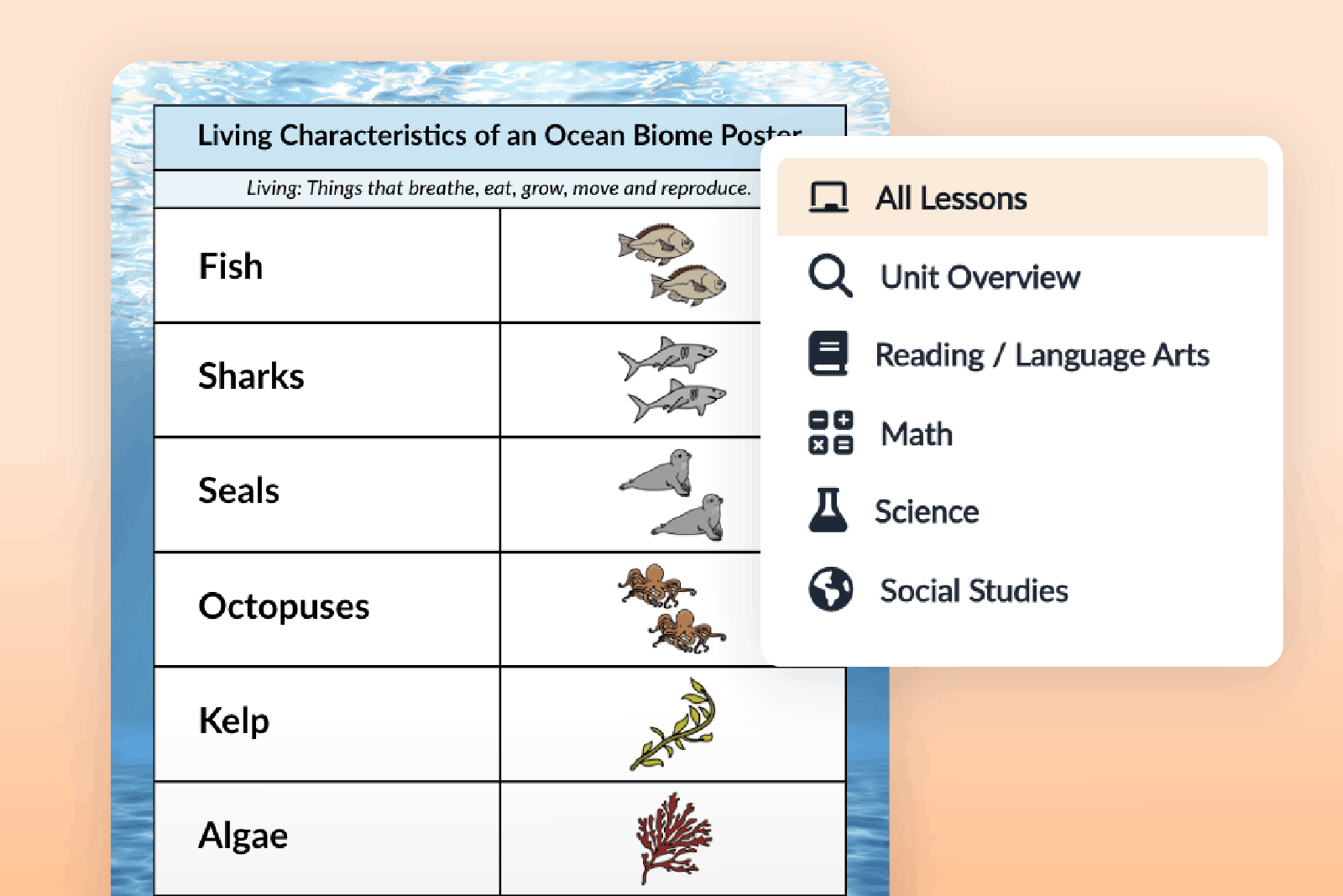 Subject support features