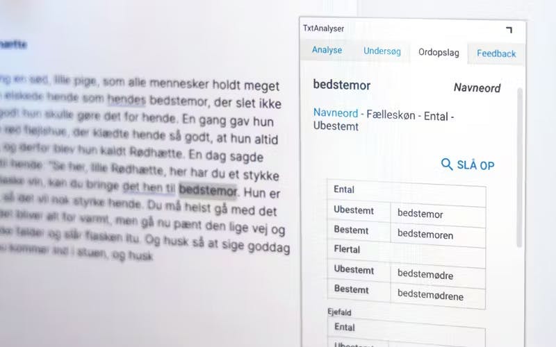 TxtAnalyser Slå ord op