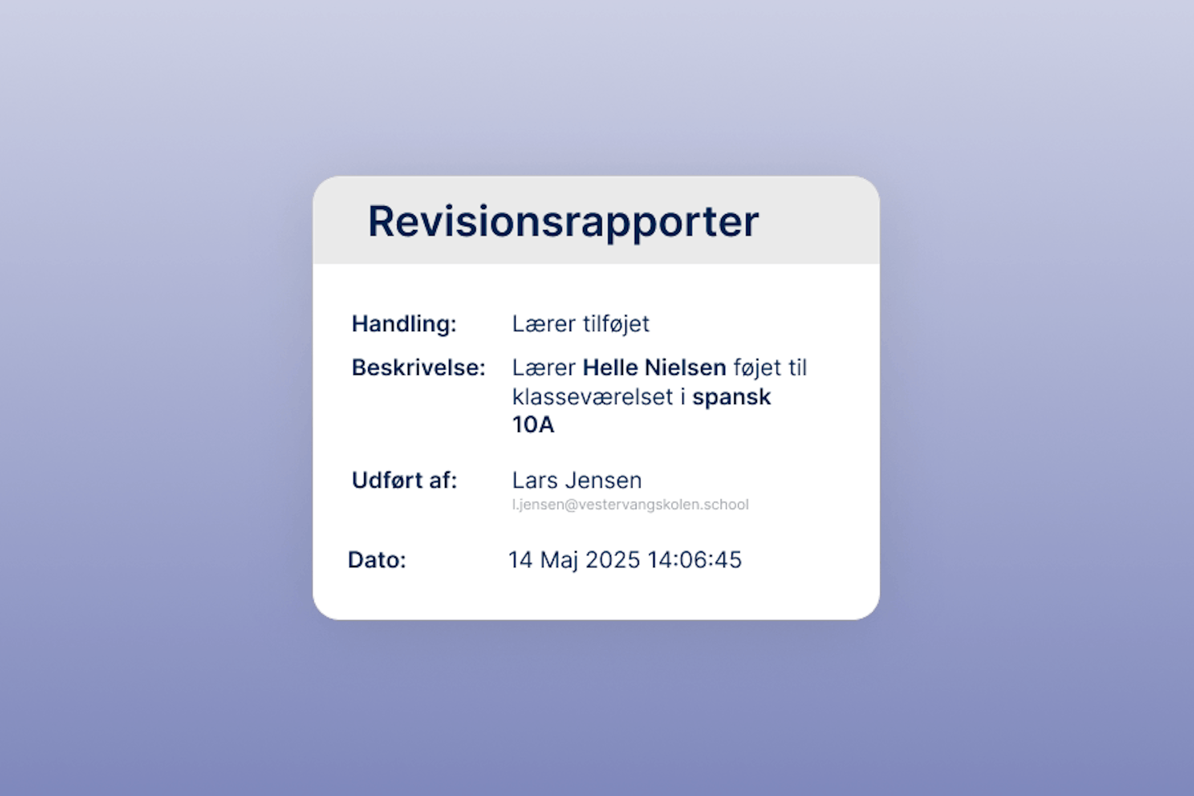 Revisionsrapporter UI