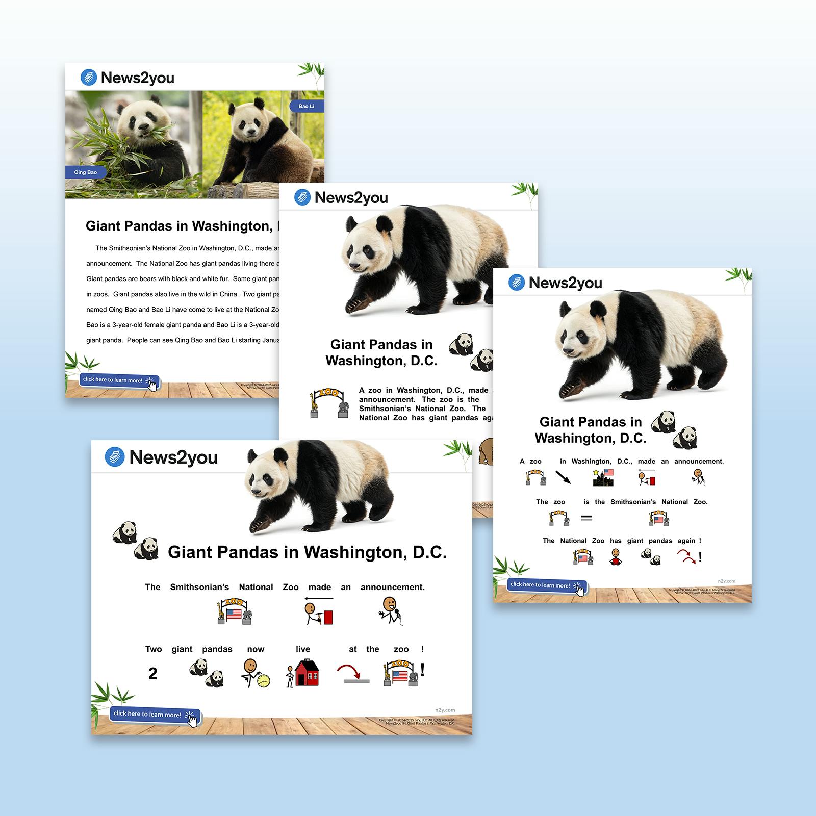Four versions of a News2you article about giant pandas in Washington, D.C., showing different reading and symbol support levels.