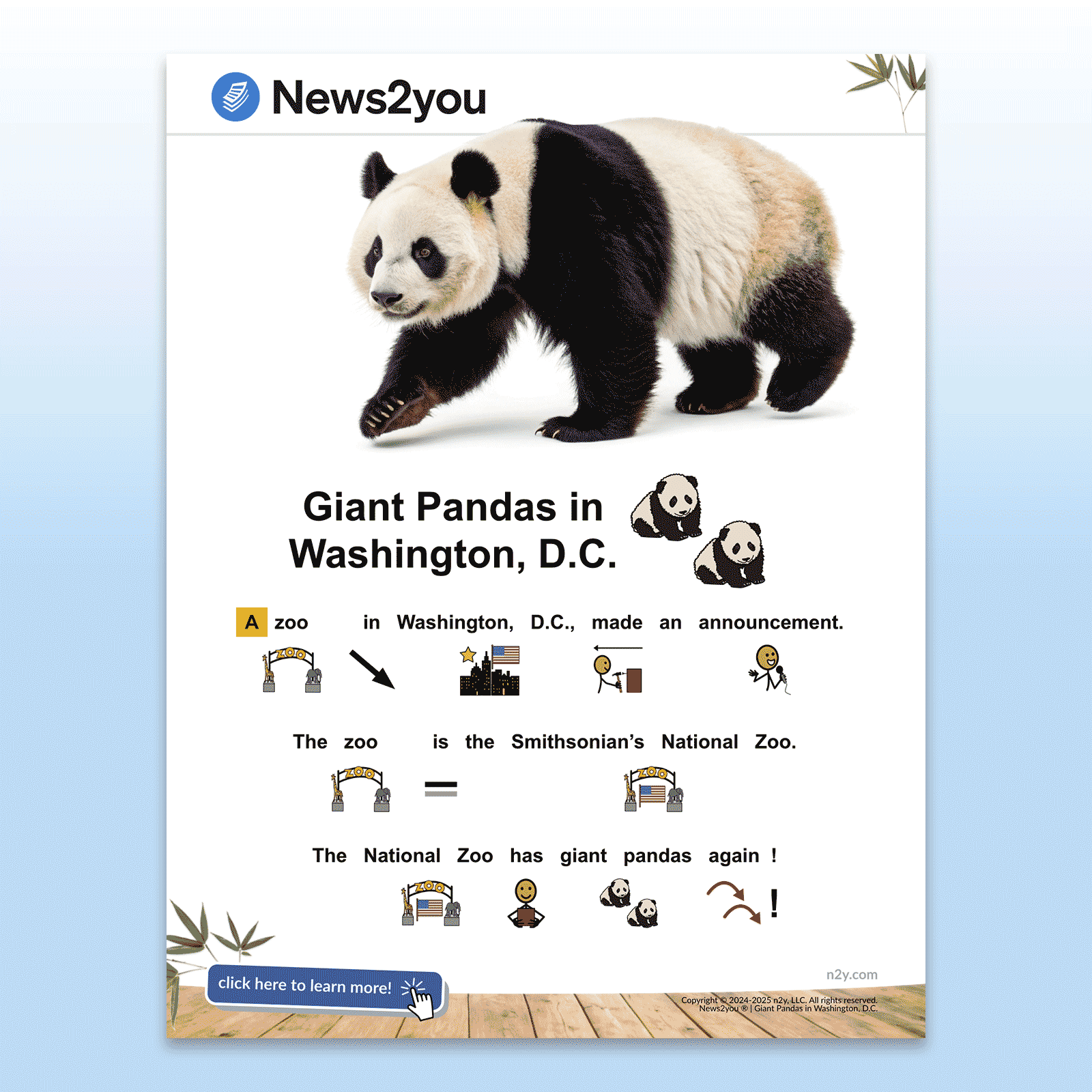 News2you page with a panda photo and simplified text with symbols, announcing giant pandas at the Smithsonian’s National Zoo in Washington, D.C.
