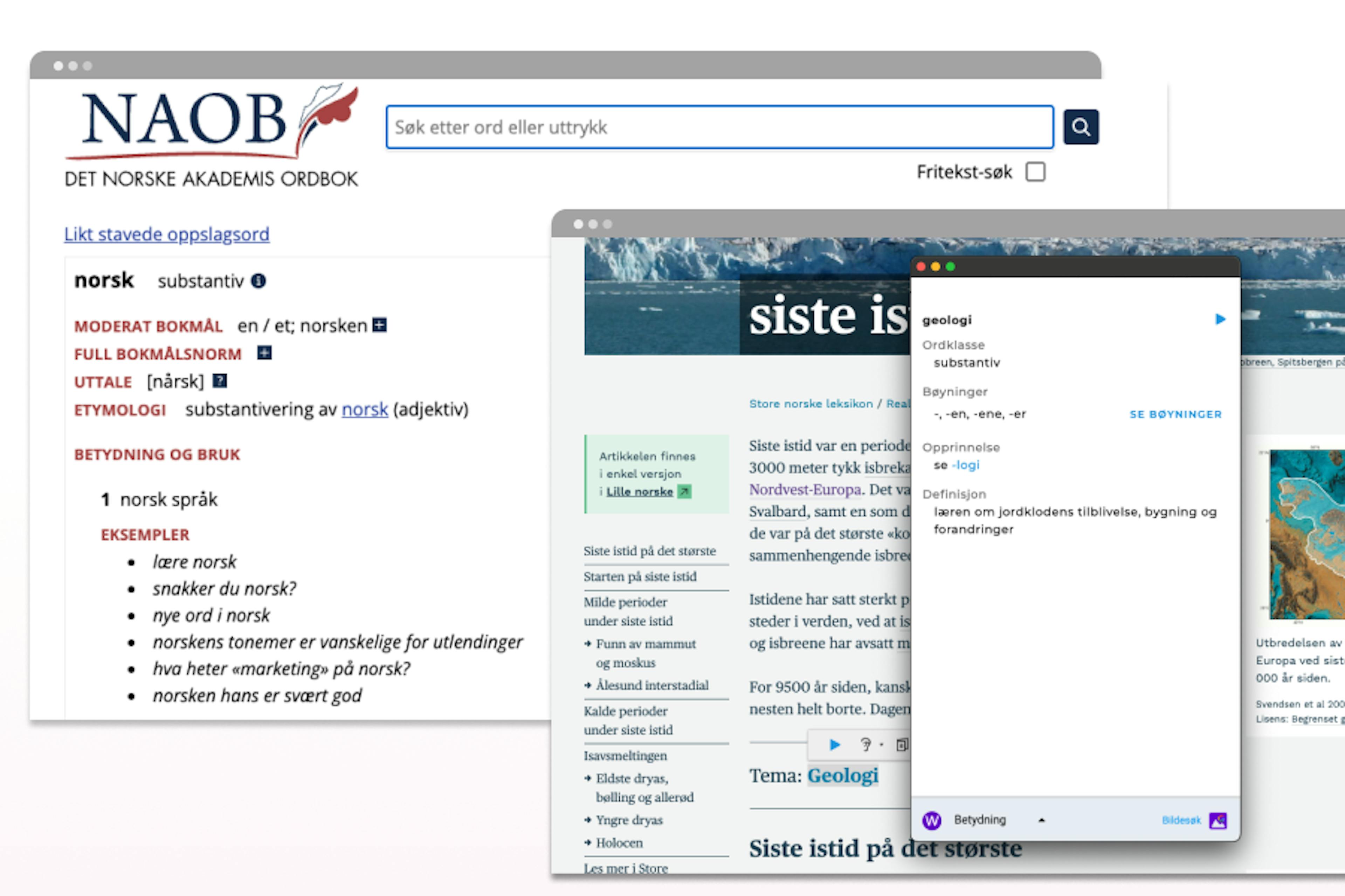 Appwriter fagordslister