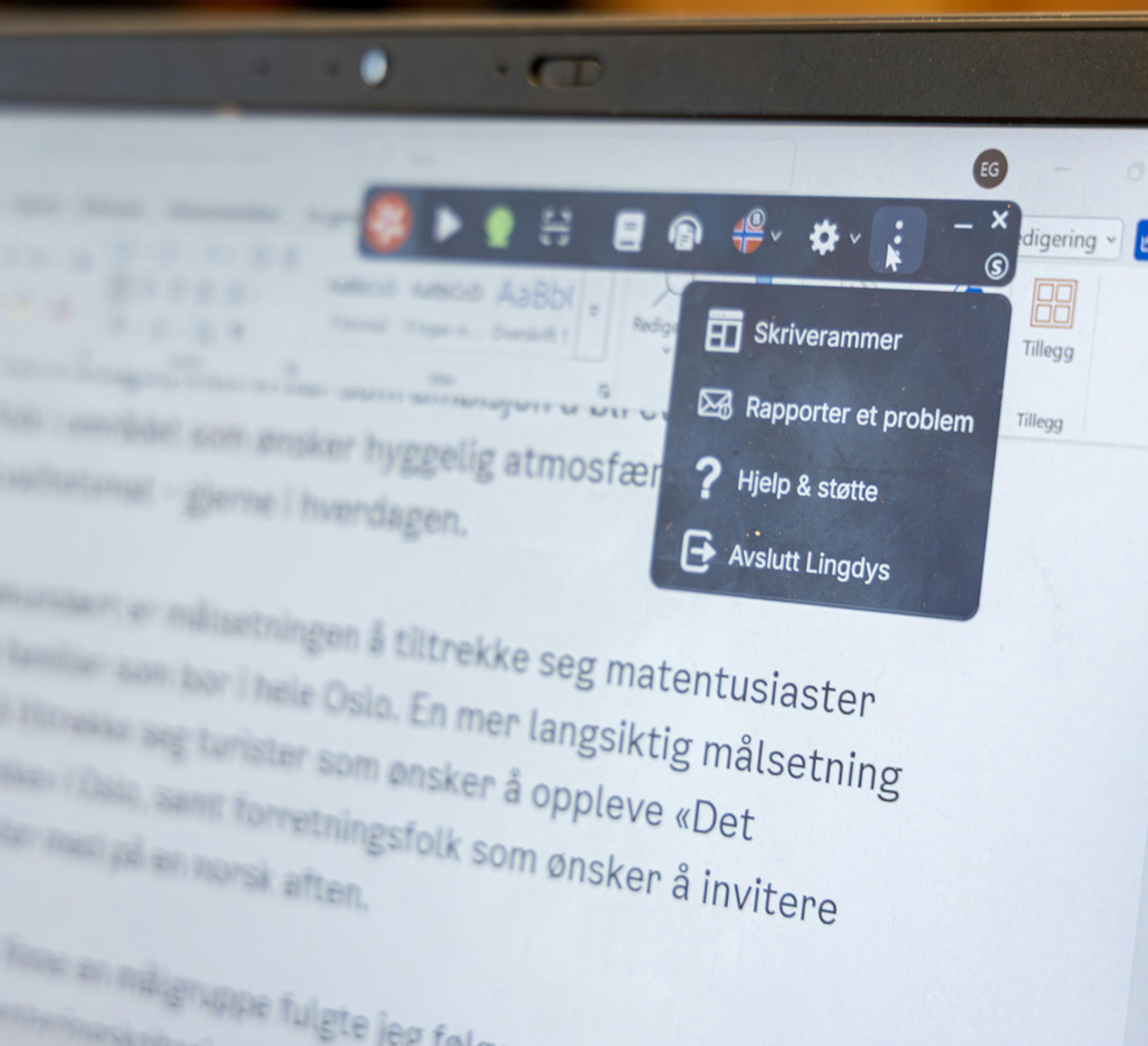 Lingdys Skoles verktøylinje i aksjon