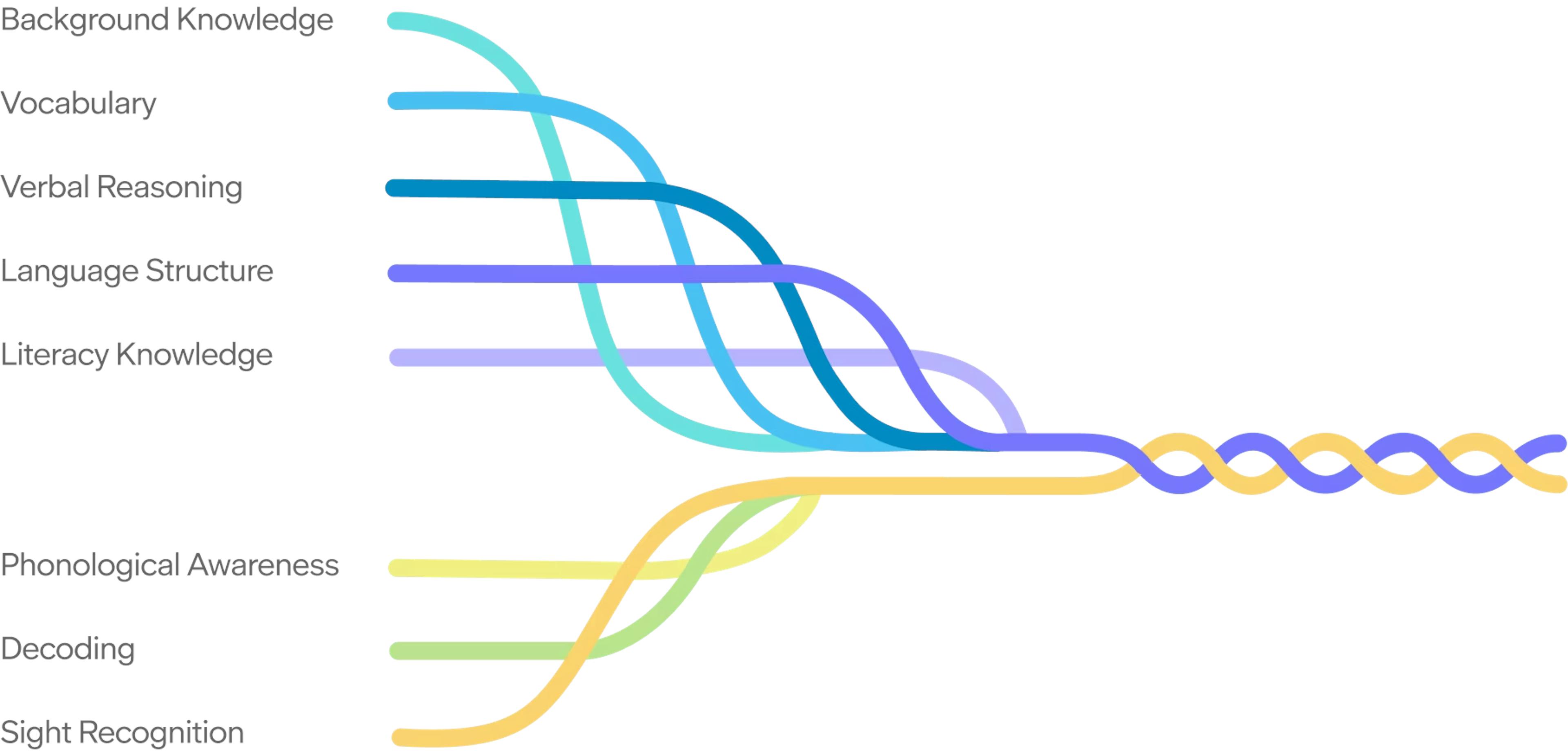 Diagram of Scarborough’s Reading Rope showing multiple strands twisted together. The lower strands represent word recognition skills—phonological awareness, decoding, and sight recognition—while the upper strands represent language comprehension, including background knowledge, vocabulary, language structures, verbal reasoning, and literacy knowledge. Together, the strands form a single rope symbolizing how these components weave together to create skilled, fluent reading.