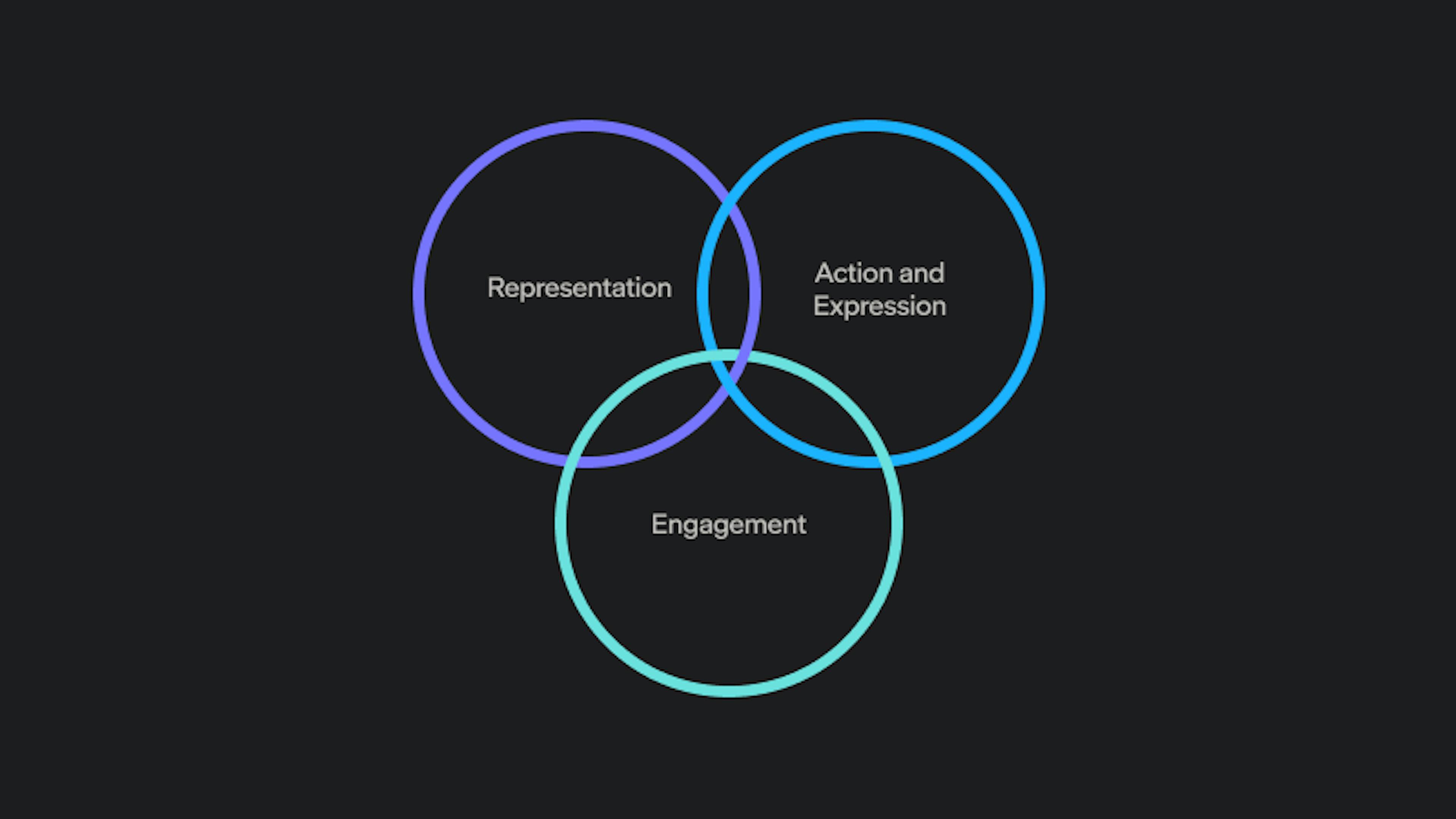 Three overlapping circles labeled Representation, Action and Expression, and Engagement, forming a Venn diagram that represents the core principles of Universal Design for Learning.