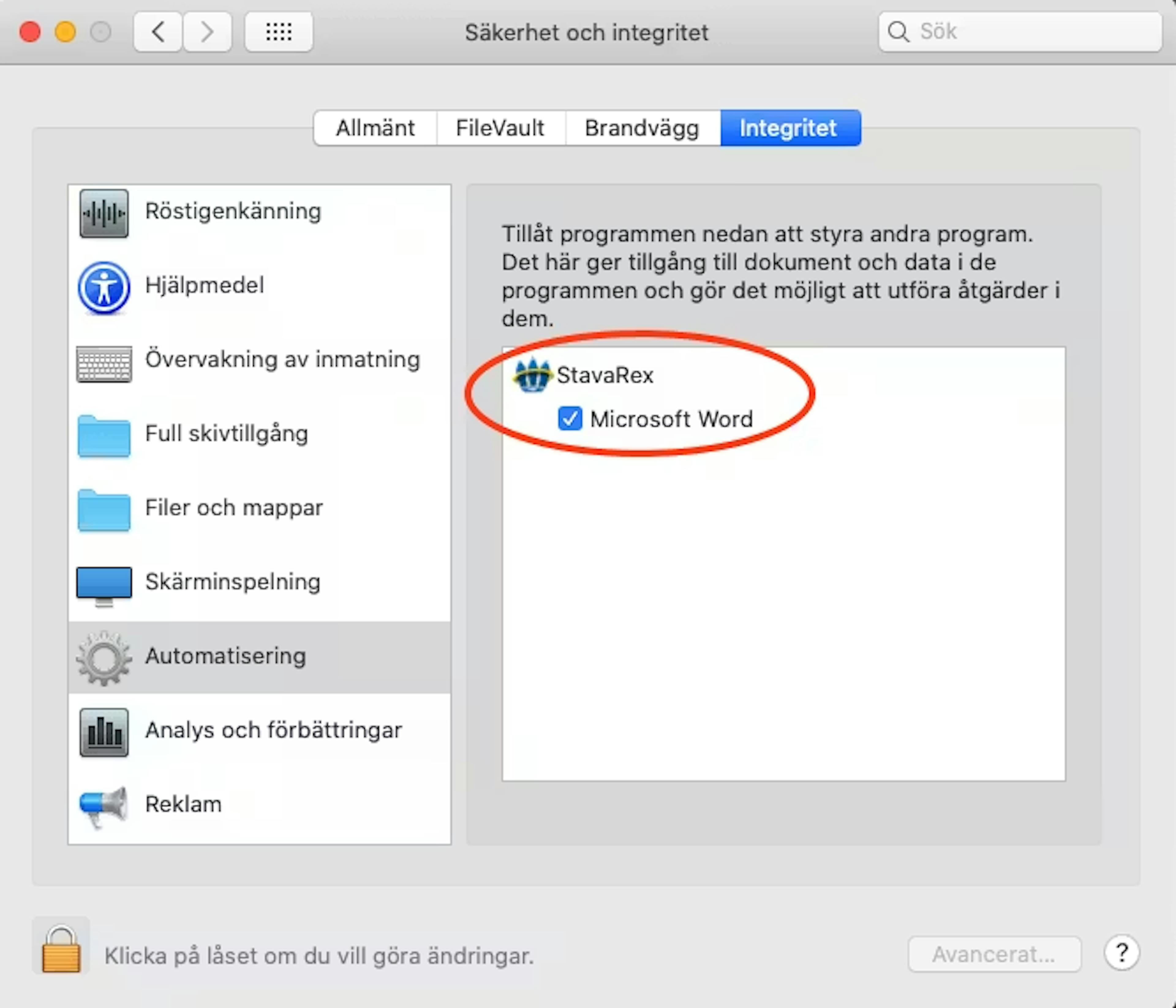 Stava Rex Microsoft Word