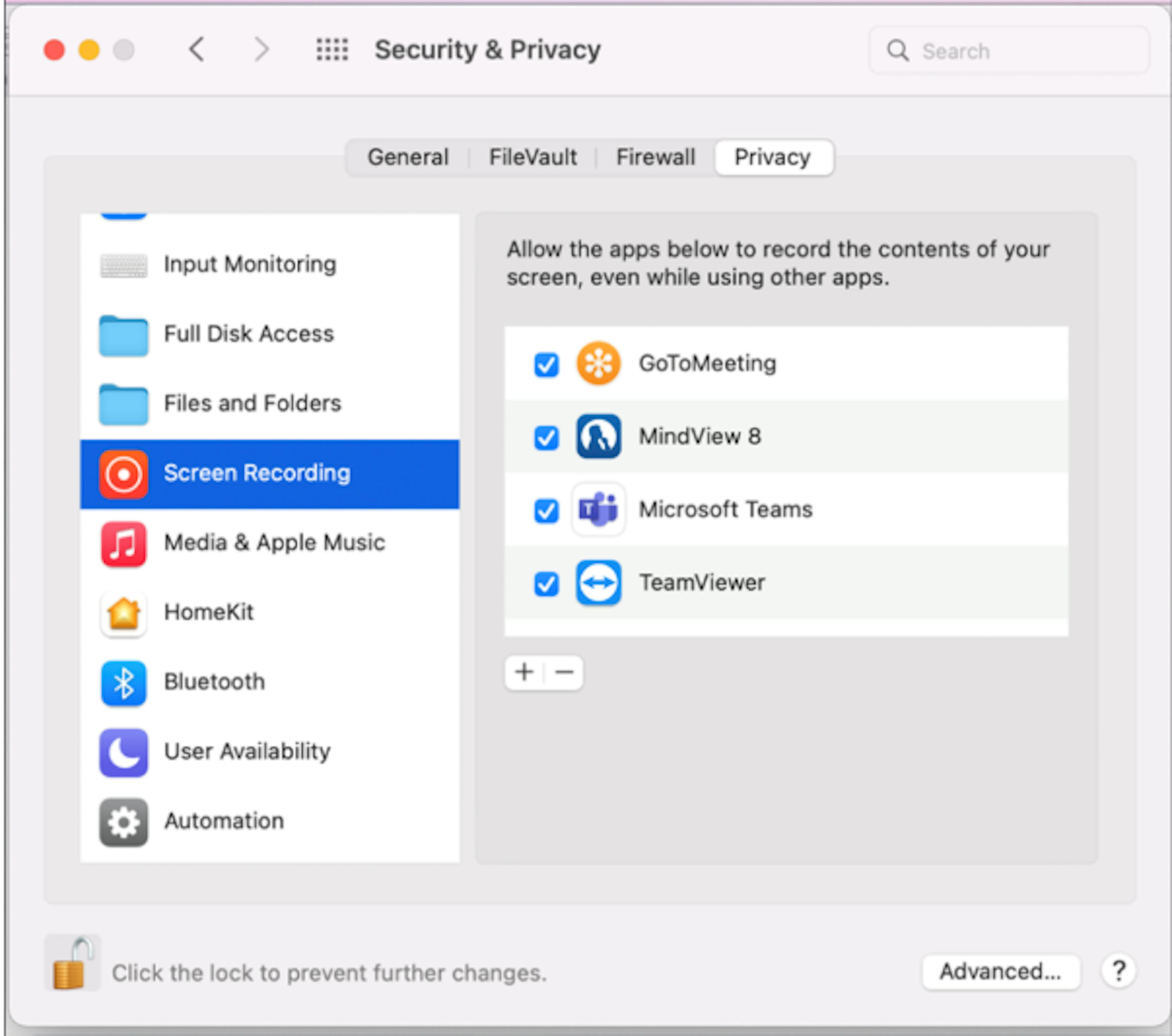 Mindview capture tool