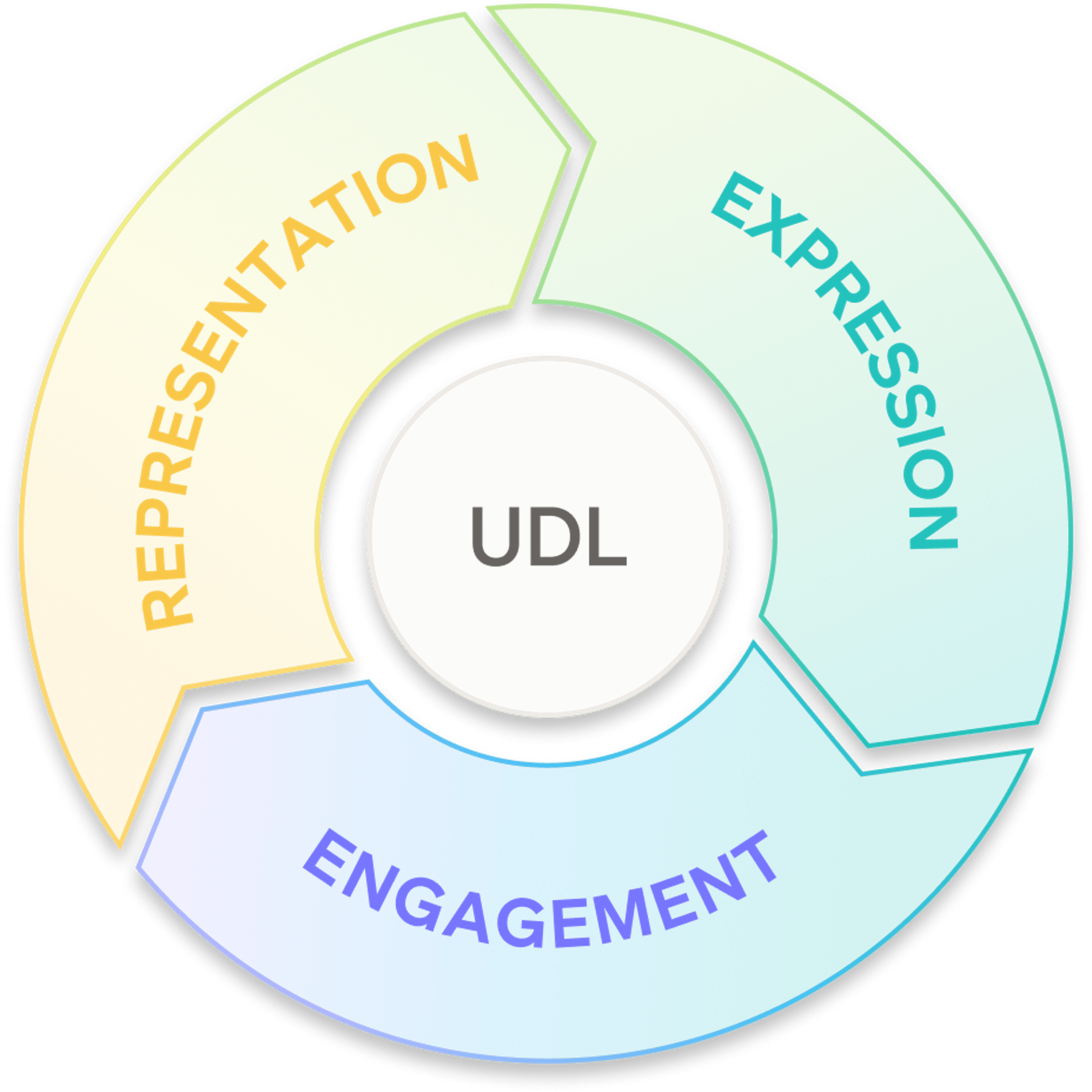 Three principles of UDL - expression, representation, engagement.