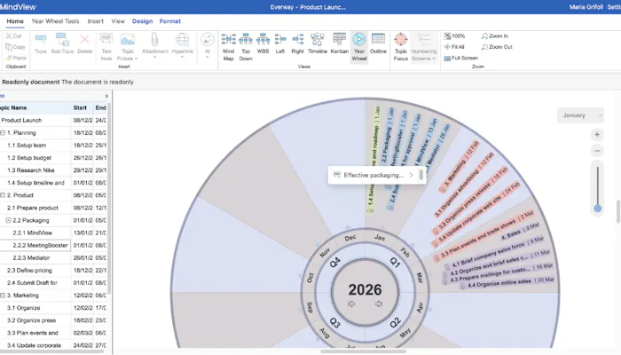 A view of the new MindView Online project plan